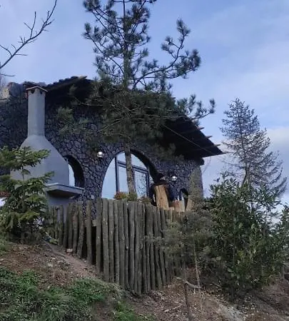 Dagevimsakarya